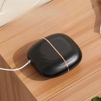 Brush&Go Wireless Hair Straightening Brush